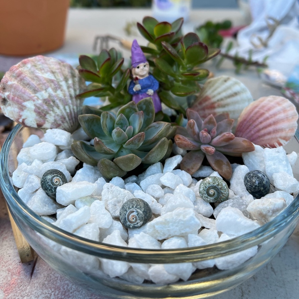 Bowl of succies